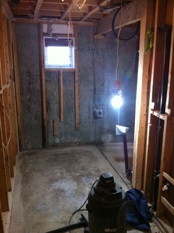 Tearing out the old basement bathroom!