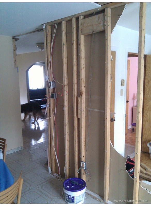 Tearing out the kitchen and small bedroom wall!