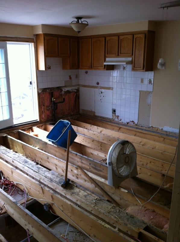 Fixing the floor beams and building up the subfloor!