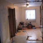 Older pics - Result of tearing out walls in the kitchen and hallway!