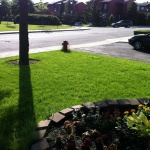 After reseeding and fertilizing our front lawn 2 months ago, it now looks fairly normal and healthy grass.