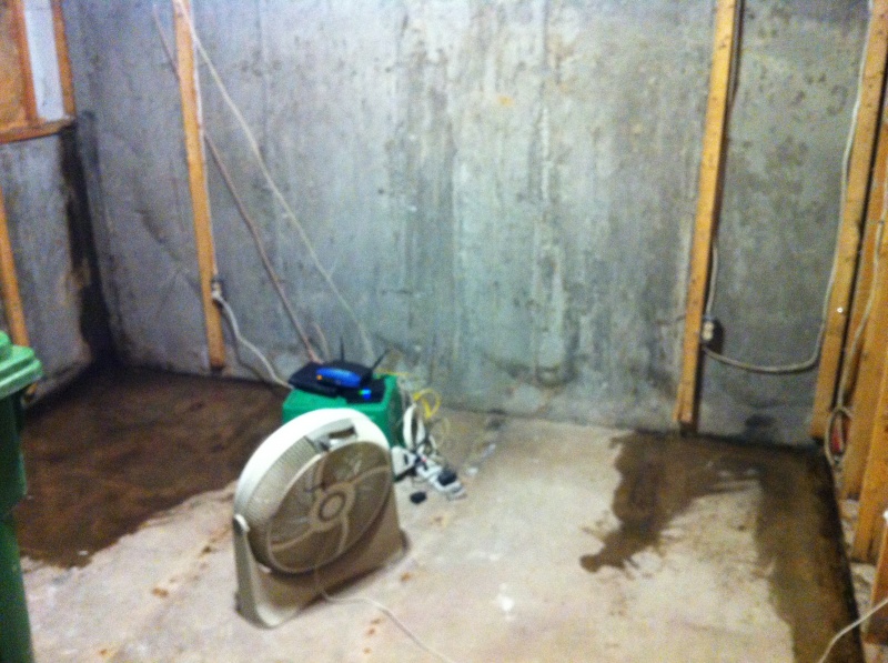 Drying out the office after tearing out all walls and floors... wet areas are where bleach was poured to clean up mold stains and general nastiness.