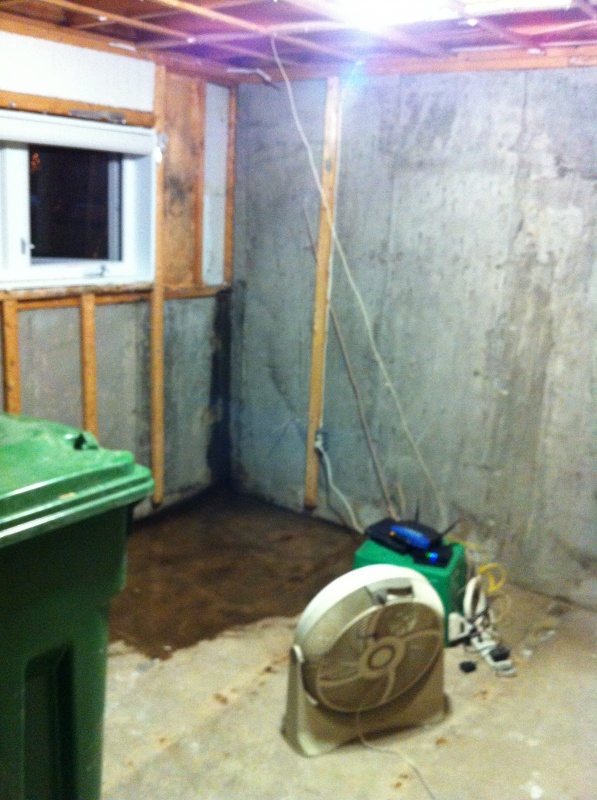 Drying out the office after tearing out all walls and floors... wet areas are where bleach was poured to clean up mold stains and general nastiness.