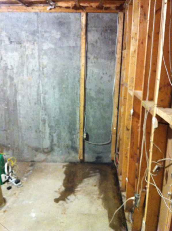 Drying out the office after tearing out all walls and floors... wet areas are where bleach was poured to clean up mold stains and general nastiness.