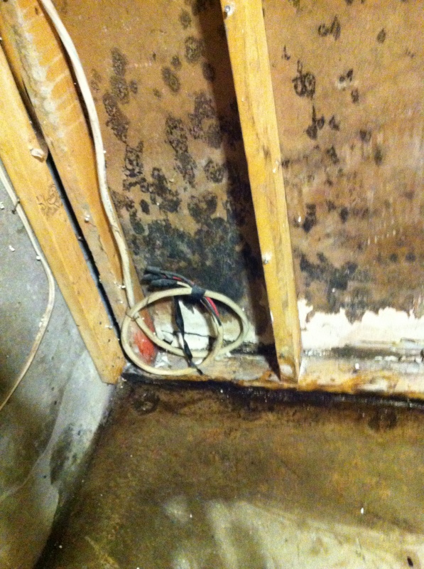 Found hidden in the wall was this 220v 40AMP line that is connected to the breakerbox.  Looks like an old line for a stove.