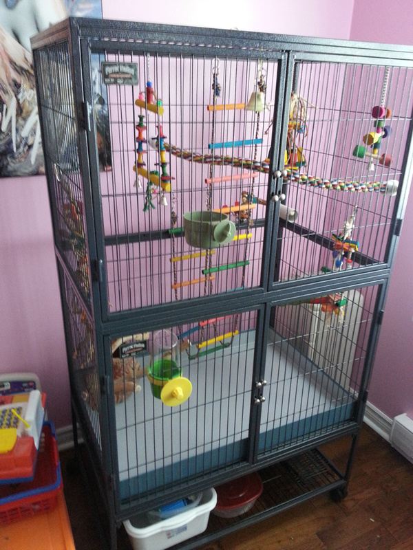 Bird Cage ready to go!