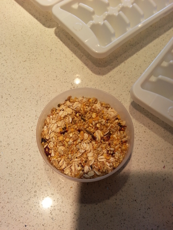 First Birdy Mash by Corina and I - Dried fruits, oats and some seeds!