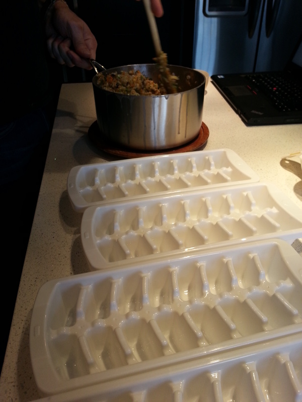 First Birdy Mash by Corina and I - Time to fill up the ice cube trays!