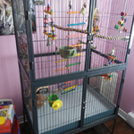 Bird Cage ready to go!